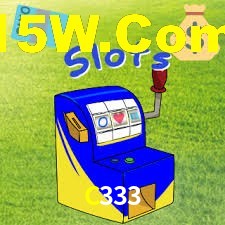 C333